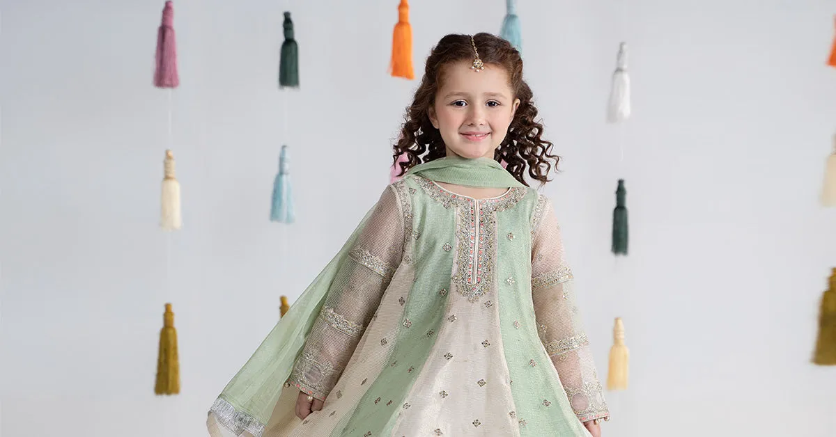 3 Piece Embroidered Cotton Net Suit | MKS-EA24-17