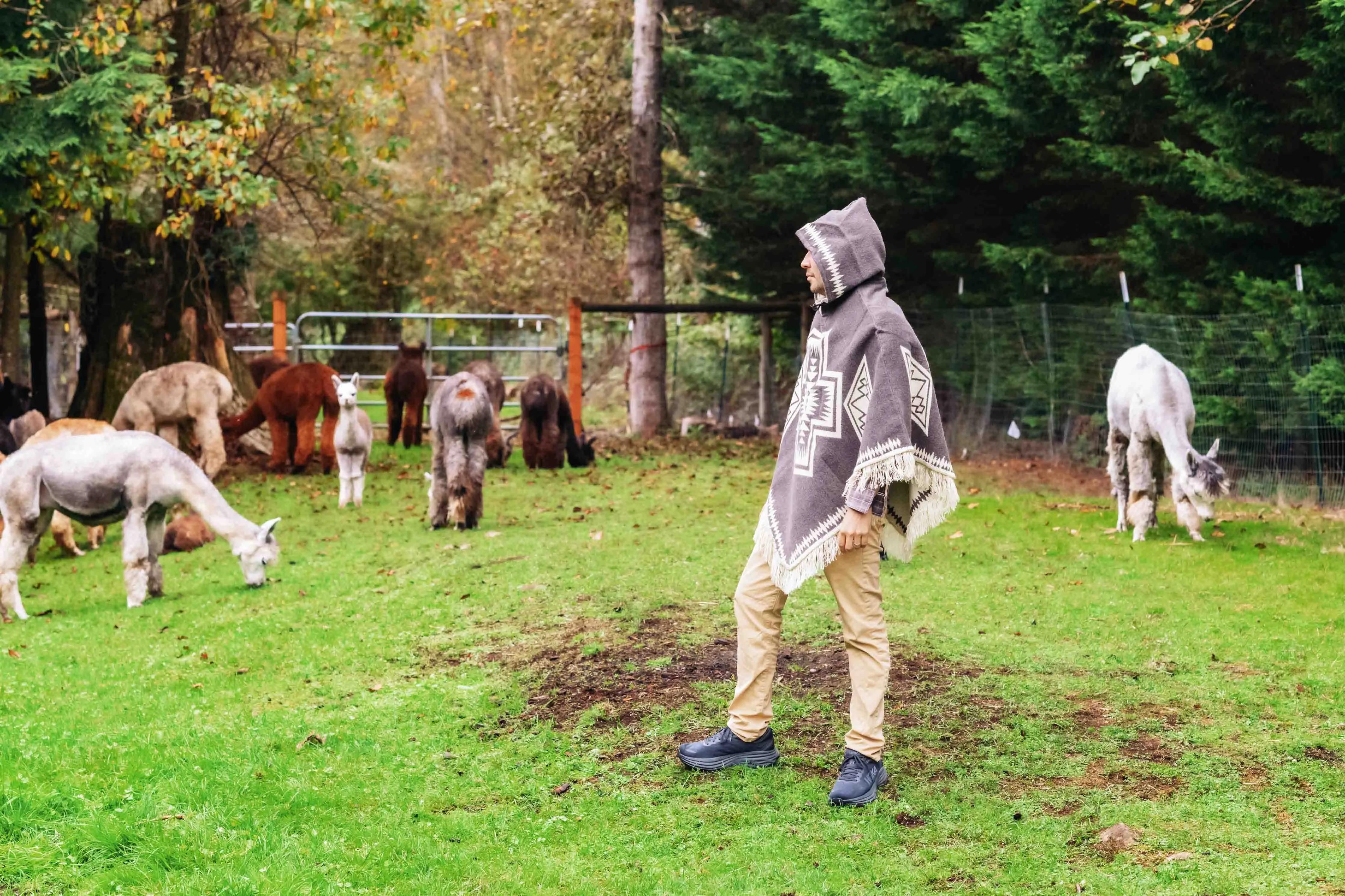 Conquistador - Dark Taupe - Alpaca Poncho with Native Pattern Triangular Design