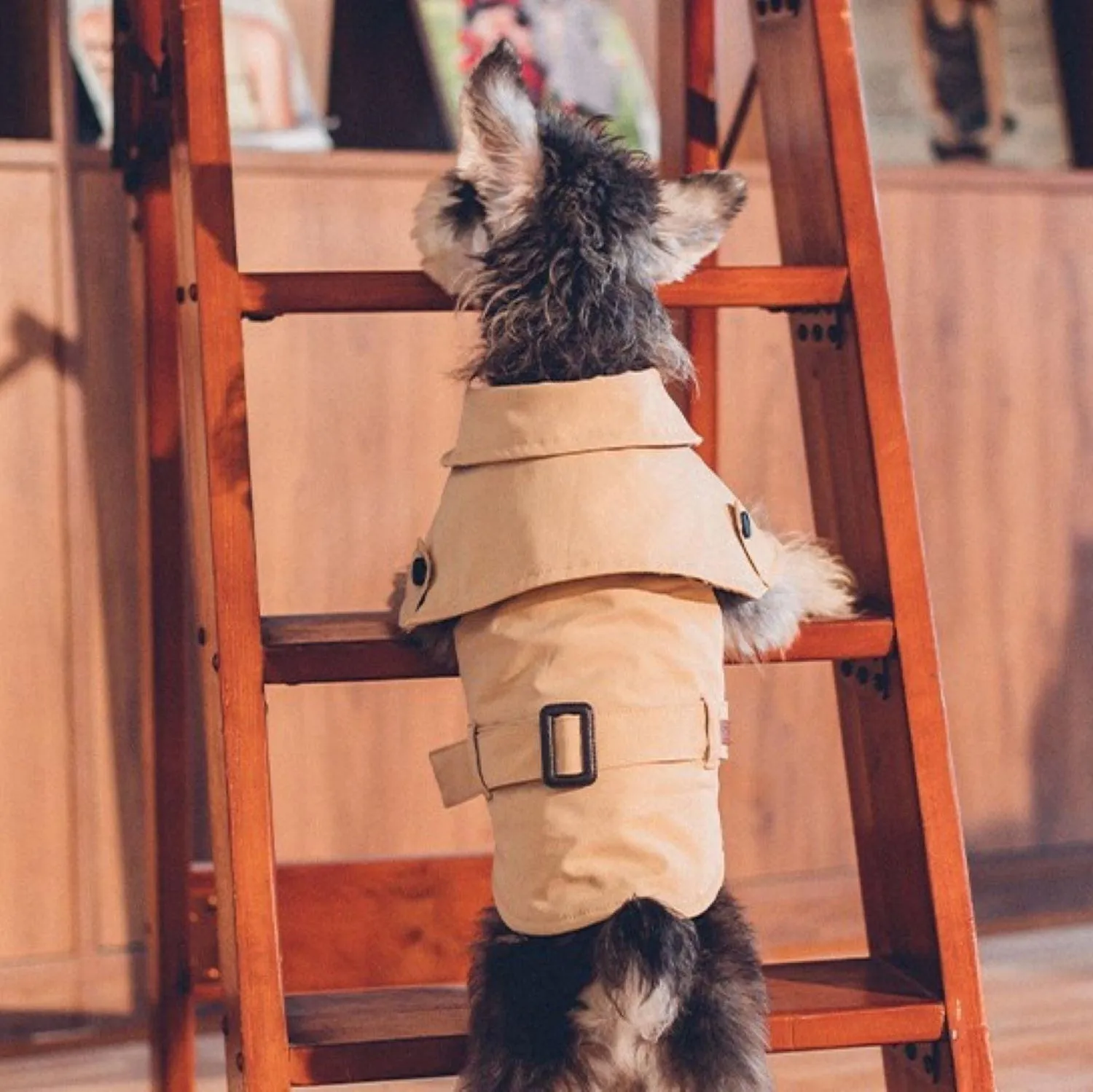 Stylish Trench Dog Coat Jacket