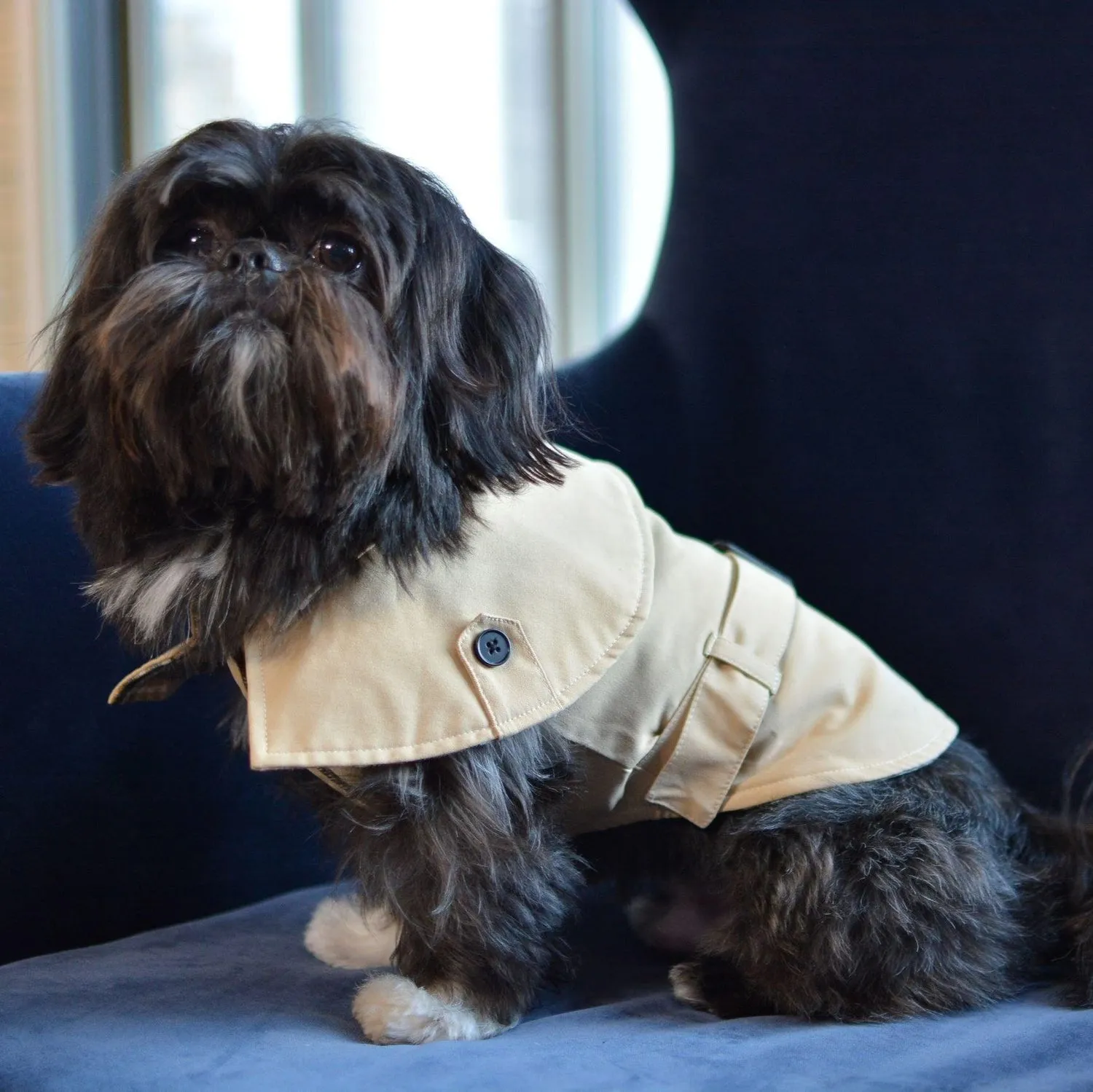 Stylish Trench Dog Coat Jacket